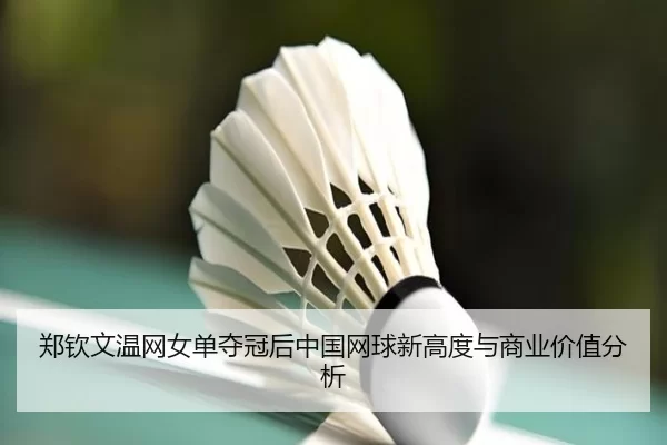 zheng-qin-wen-wen-wang-nv-dan-duo-guan-hou-zhong-guo-wang-qiu-xin-gao-du-yu-shang-ye-jia-zhi-fen-xi-2-859.jpg